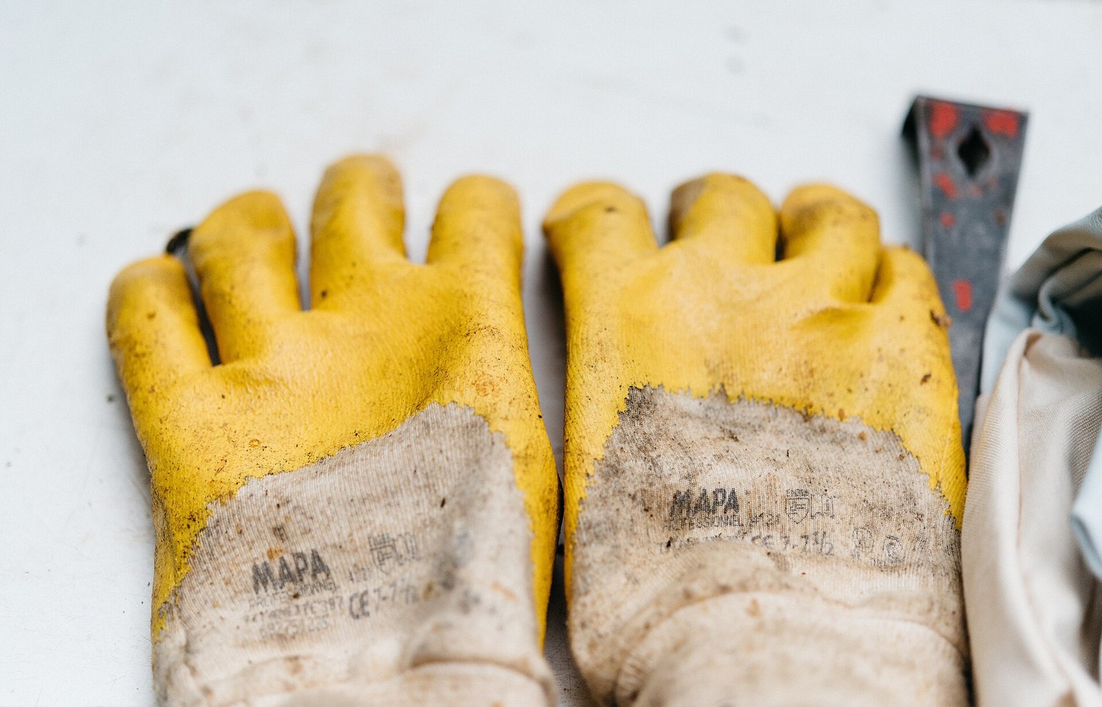 Gloves Of The Beekeeper