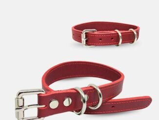 Flipy Hakiki Deri Boyun Tasması: Çekiş Anındaki Baskıyı Boynun Önüne Yayan Yerli Köpek Tasması - Marka Hikayeleri